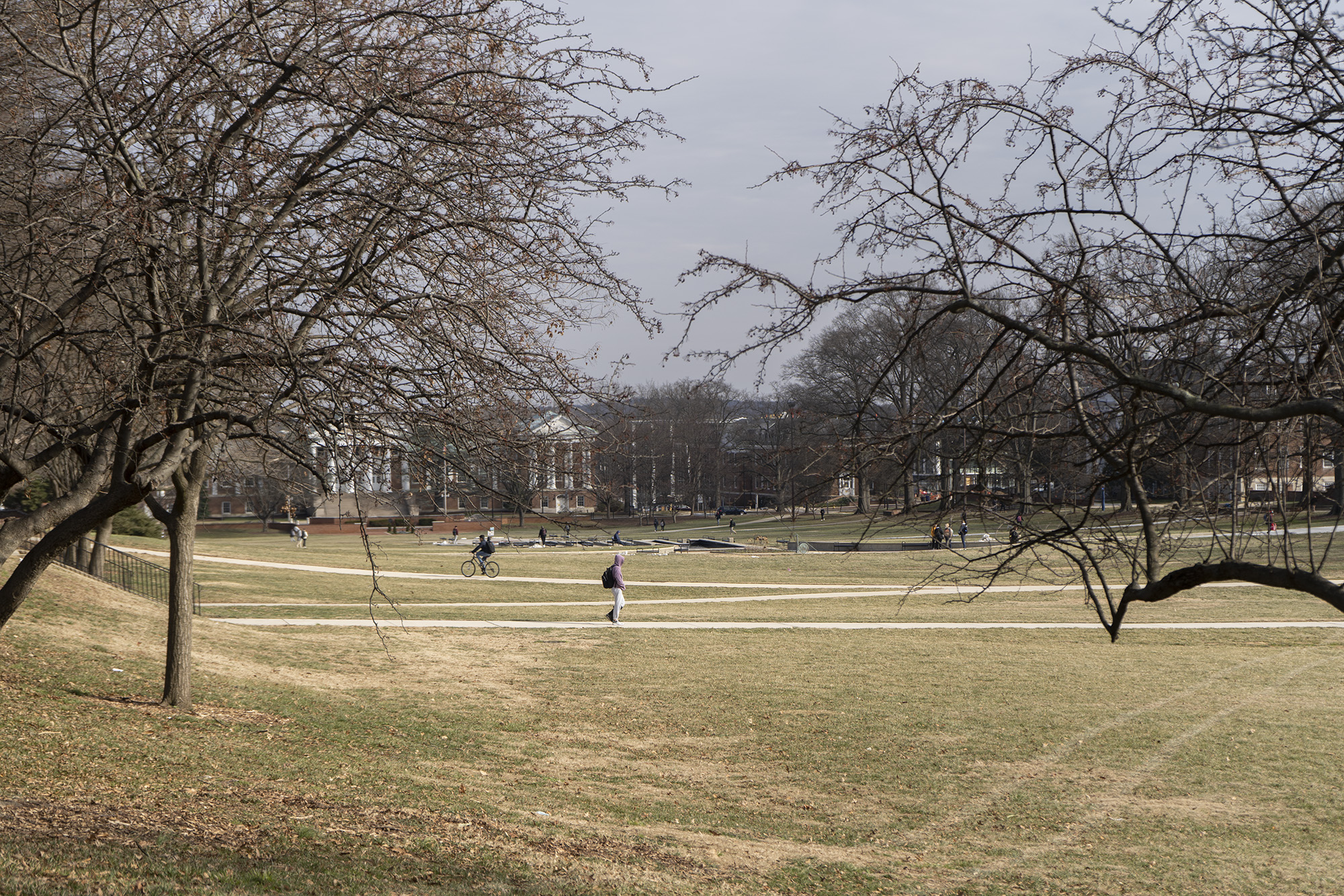 University of Maryland campus