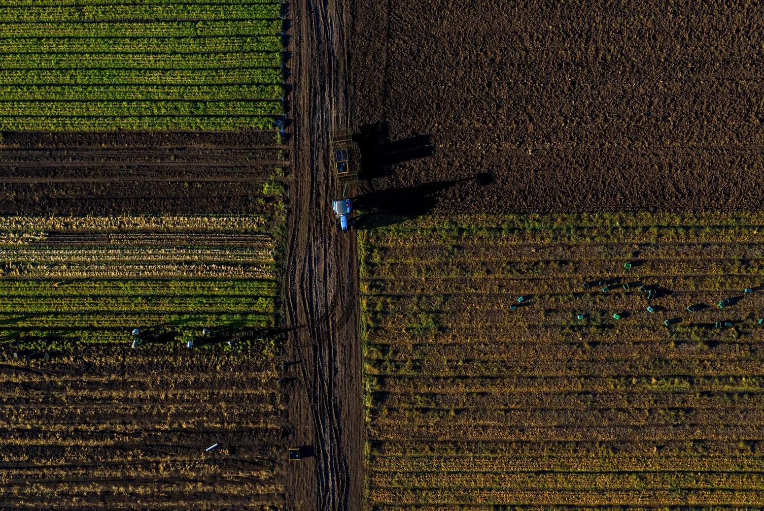 Farm Bill