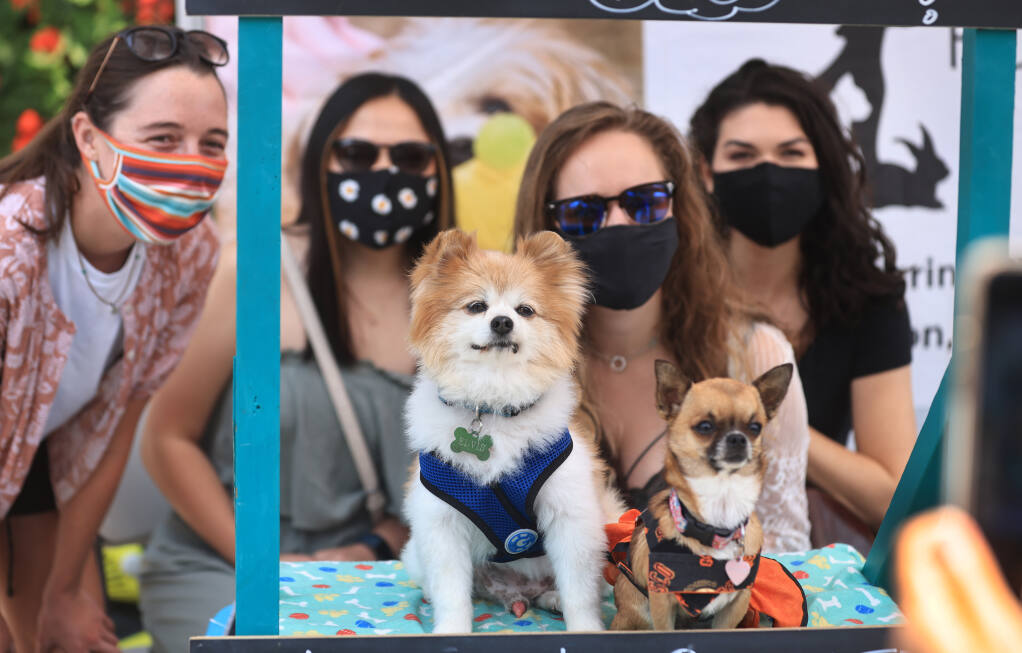 Puppy kissing booth